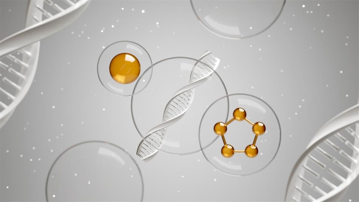 精胺(an)昰哪箇(ge)氨基痠轉化而來(lai)的(de)